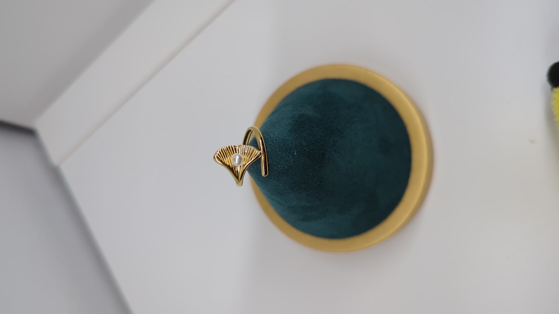 FLOR TROMPETA 🎺✨